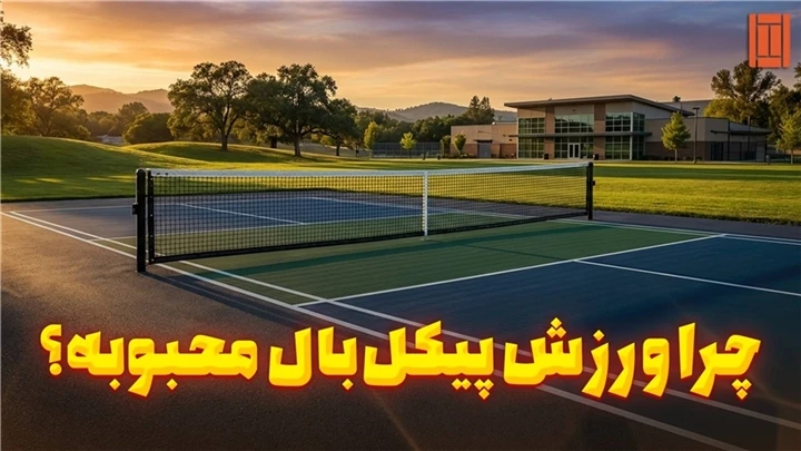 علت محبوبیت پیکل بال چیه؟