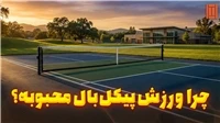 علت محبوبیت پیکل بال چیه؟